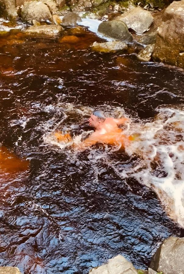 Rostrevor Valley Caravans With Private Hot Tub エクステリア 写真
