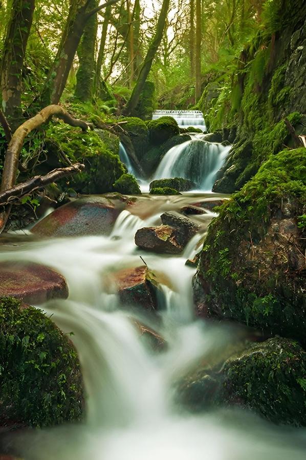 Rostrevor Valley Caravans With Private Hot Tub エクステリア 写真